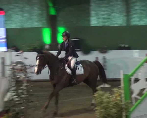 Reitturnier Lindlar-Süttenbach 2016