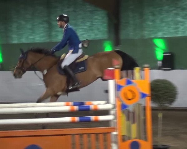 Reitturnier Lindlar-Süttenbach 2016