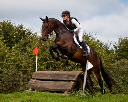 Springpferd Crane 3 (Trakehner, 2014, von Schwarzgold)