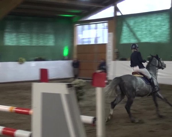 Reitturnier Lindlar-Süttenbach 2016