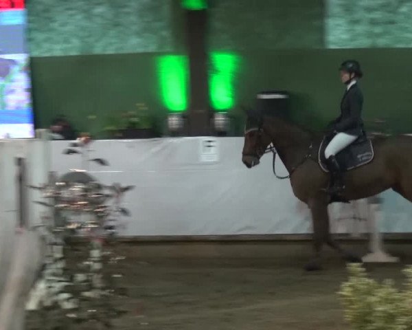 Reitturnier Lindlar-Süttenbach 2016