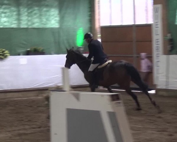 Reitturnier Lindlar-Süttenbach 2016
