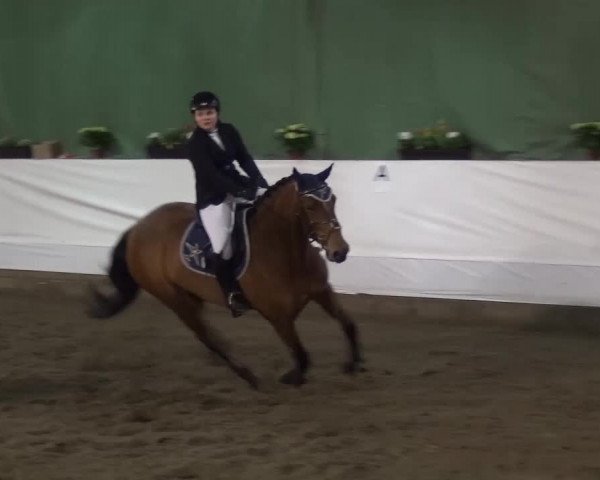 Reitturnier Lindlar-Süttenbach 2016