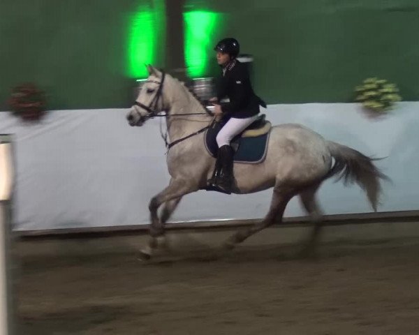 Reitturnier Lindlar-Süttenbach 2016