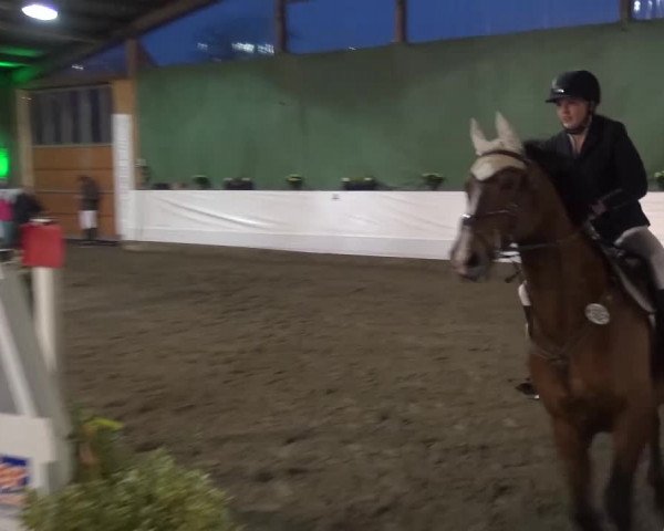 Reitturnier Lindlar-Süttenbach 2016