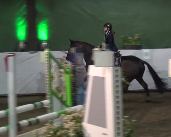 Reitturnier Lindlar-Süttenbach 2016