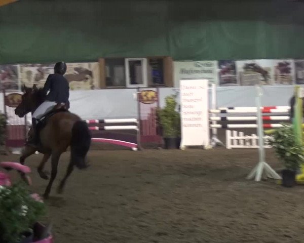 Reitturnier Lindlar-Süttenbach 2016