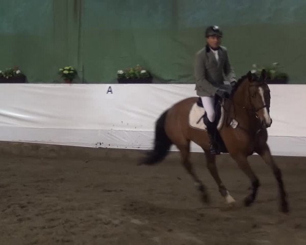 Reitturnier Lindlar-Süttenbach 2016