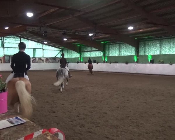 Reitturnier Lindlar-Süttenbach 2016