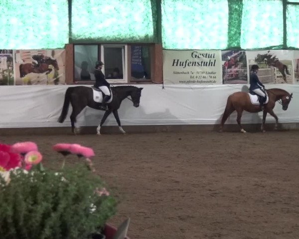 Reitturnier Lindlar-Süttenbach 2016