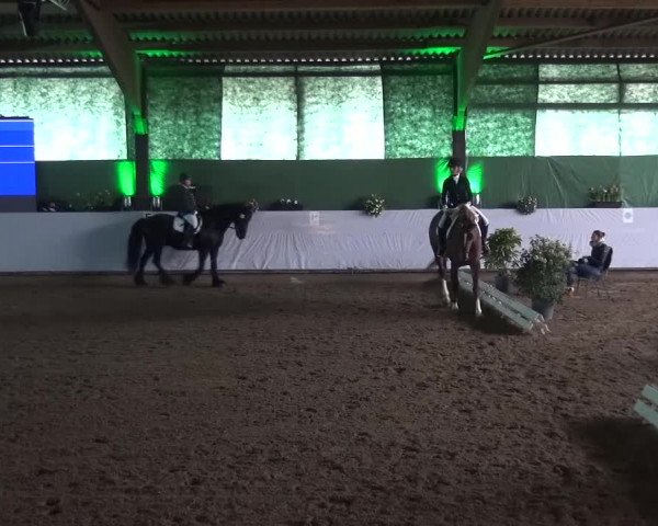 Reitturnier Lindlar-Süttenbach 2016