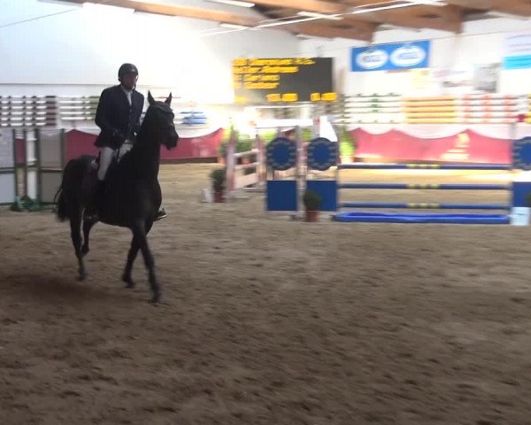 Springturnier Eicherloh - Laurent 2016