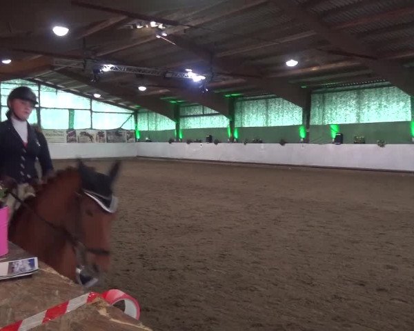 Reitturnier Lindlar-Süttenbach 2016