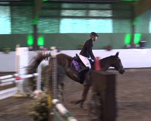 Reitturnier Lindlar-Süttenbach 2016
