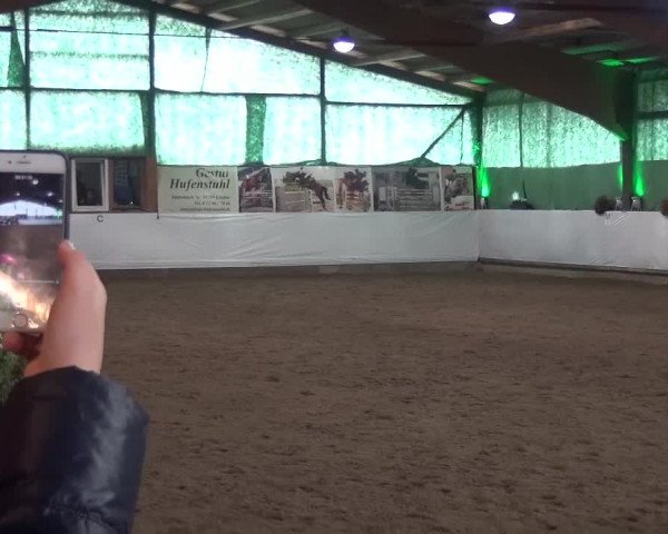 Reitturnier Lindlar-Süttenbach 2016