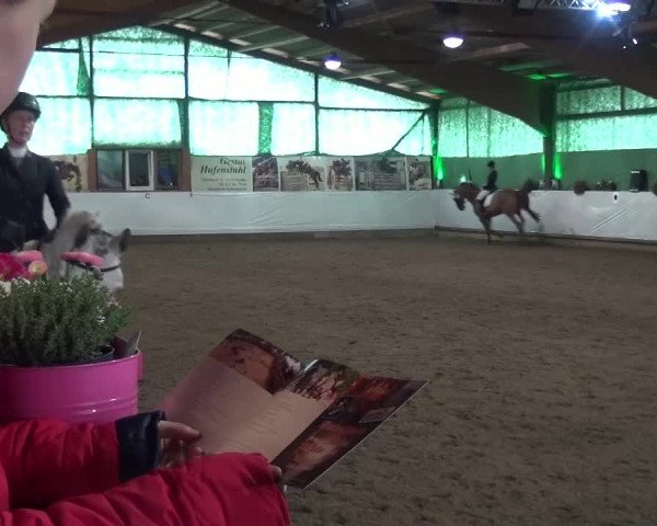 Reitturnier Lindlar-Süttenbach 2016