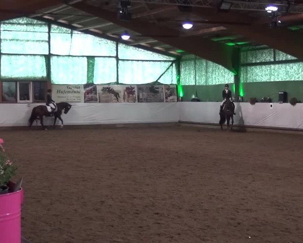 Reitturnier Lindlar-Süttenbach 2016