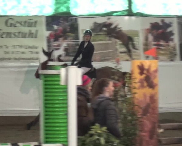 Reitturnier Lindlar-Süttenbach 2016