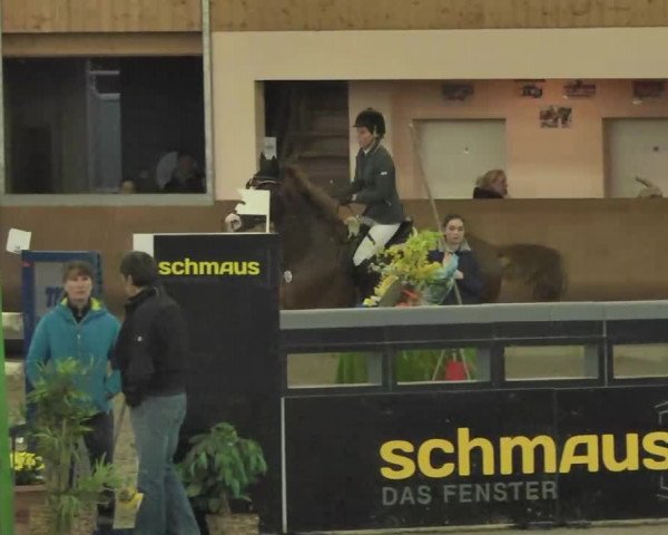 Reitturnier Dettingen 2016