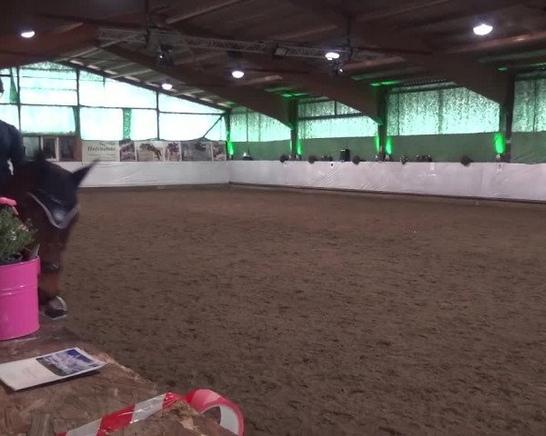 Reitturnier Lindlar-Süttenbach 2016
