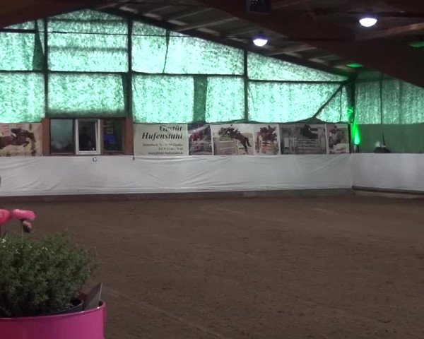 Reitturnier Lindlar-Süttenbach 2016