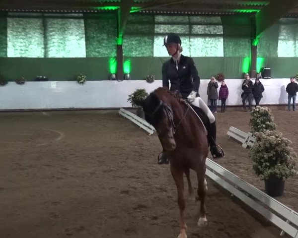 Reitturnier Lindlar-Süttenbach 2016