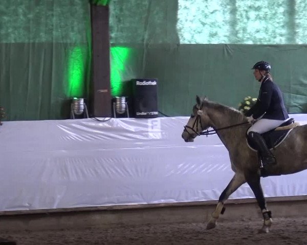 Reitturnier Lindlar-Süttenbach 2016