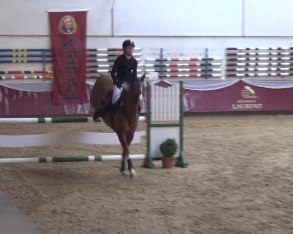 Springturnier Eicherloh - Laurent 2016