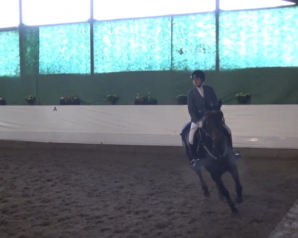 Reitturnier Lindlar-Süttenbach 2016