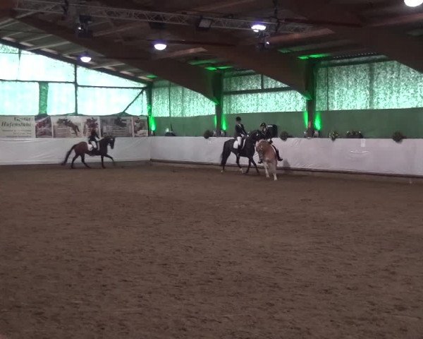 Reitturnier Lindlar-Süttenbach 2016