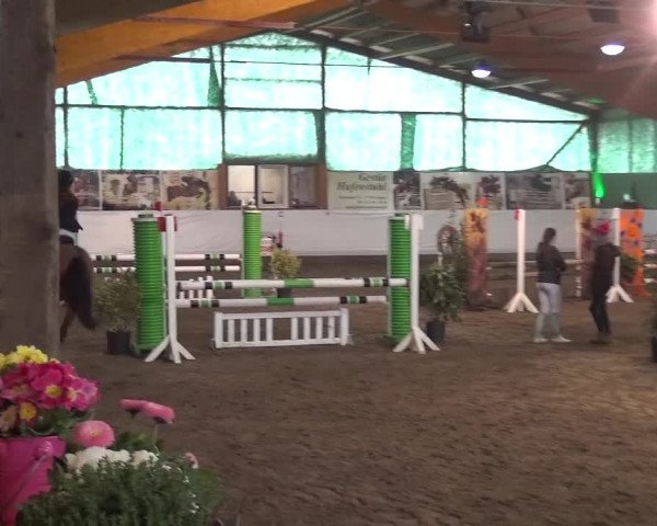 Reitturnier Lindlar-Süttenbach 2016