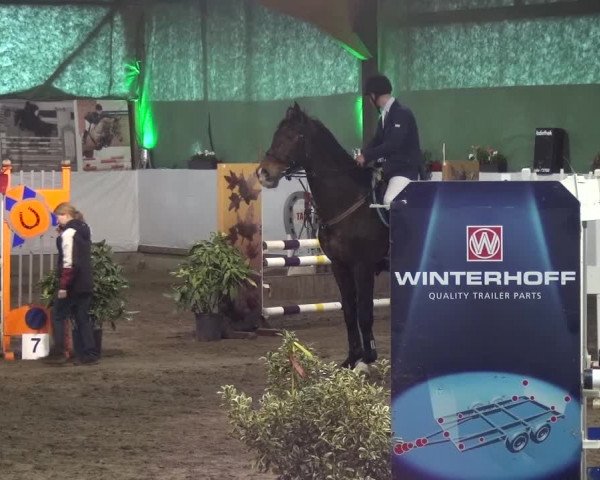 Reitturnier Lindlar-Süttenbach 2016