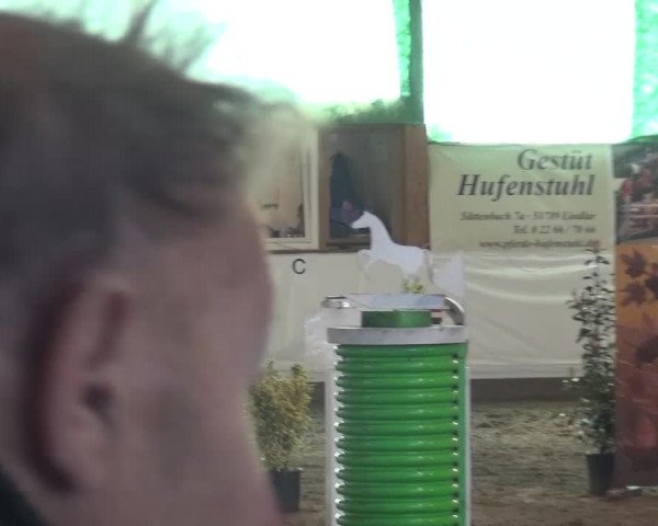 Reitturnier Lindlar-Süttenbach 2016