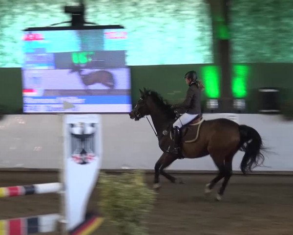 Reitturnier Lindlar-Süttenbach 2016