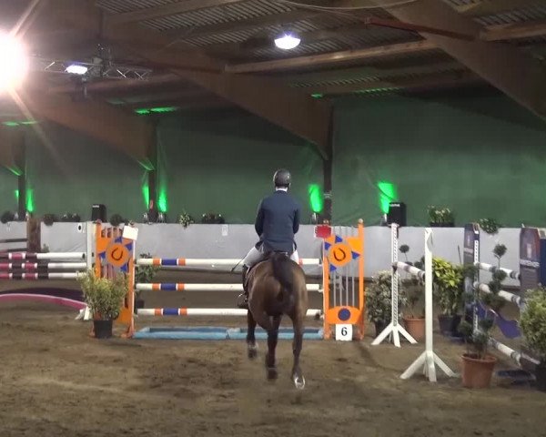 Reitturnier Lindlar-Süttenbach 2016
