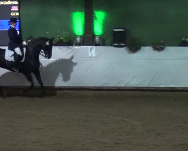Reitturnier Lindlar-Süttenbach 2016