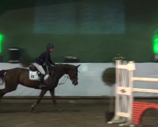 Reitturnier Lindlar-Süttenbach 2016