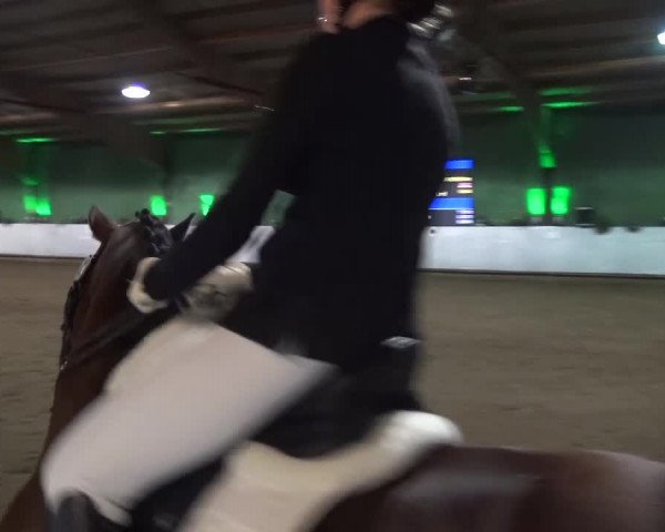 Reitturnier Lindlar-Süttenbach 2016