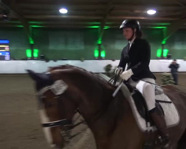 Reitturnier Lindlar-Süttenbach 2016