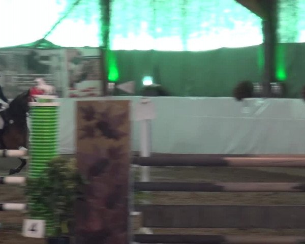 Reitturnier Lindlar-Süttenbach 2016