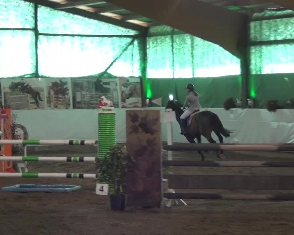 Reitturnier Lindlar-Süttenbach 2016