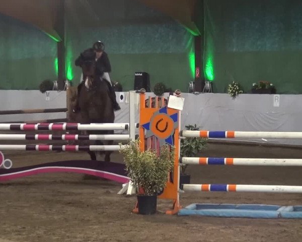 Reitturnier Lindlar-Süttenbach 2016
