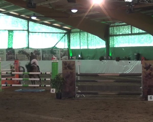 Reitturnier Lindlar-Süttenbach 2016
