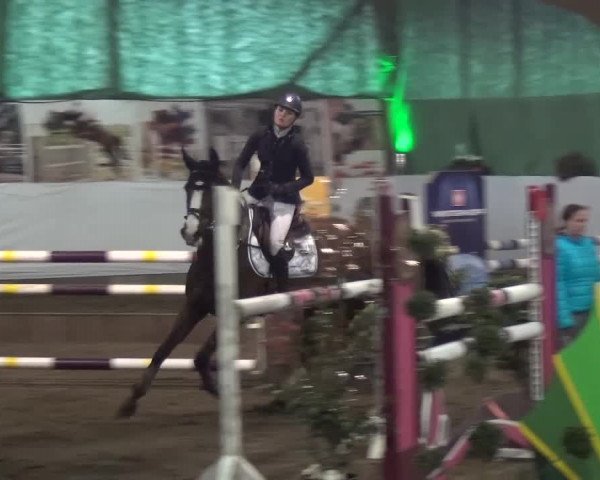 Reitturnier Lindlar-Süttenbach 2016