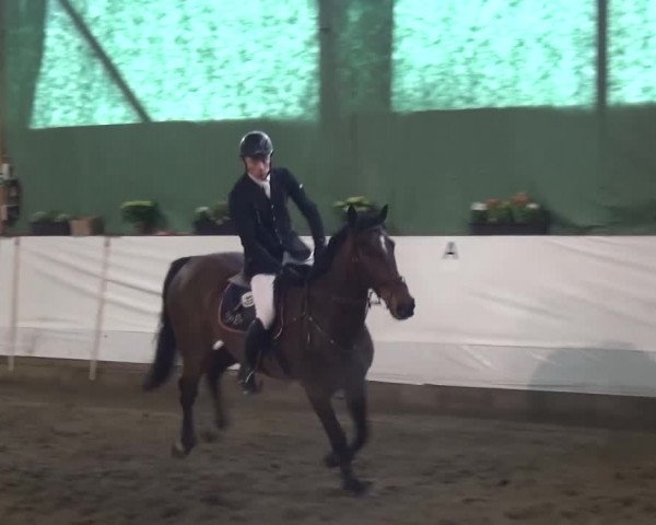 Reitturnier Lindlar-Süttenbach 2016