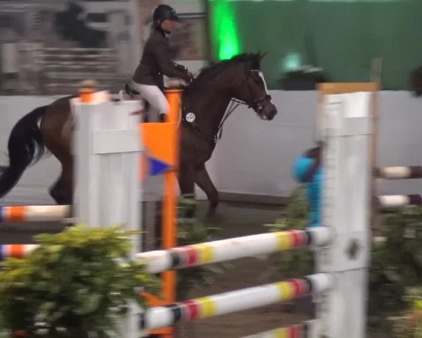 Reitturnier Lindlar-Süttenbach 2016