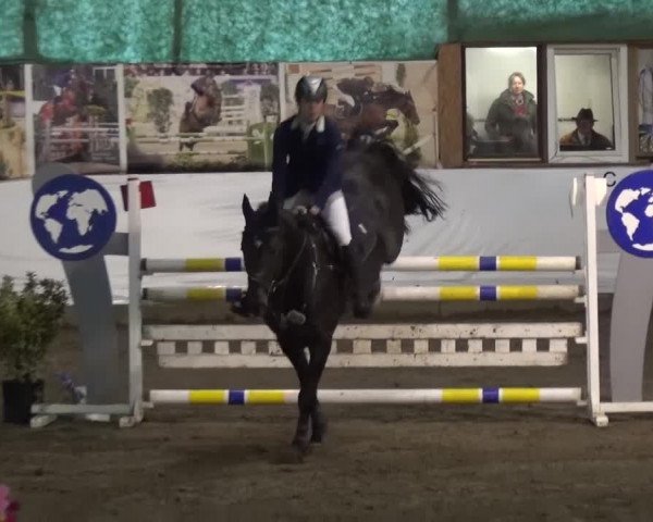 Reitturnier Lindlar-Süttenbach 2016