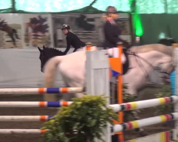 Reitturnier Lindlar-Süttenbach 2016