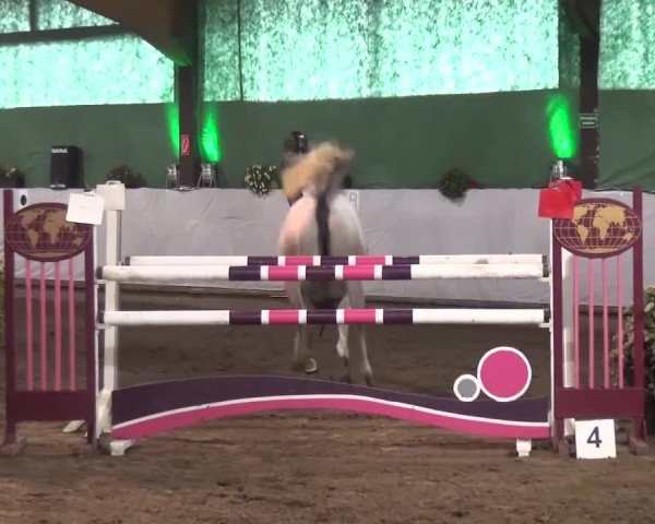 Reitturnier Lindlar-Süttenbach 2016