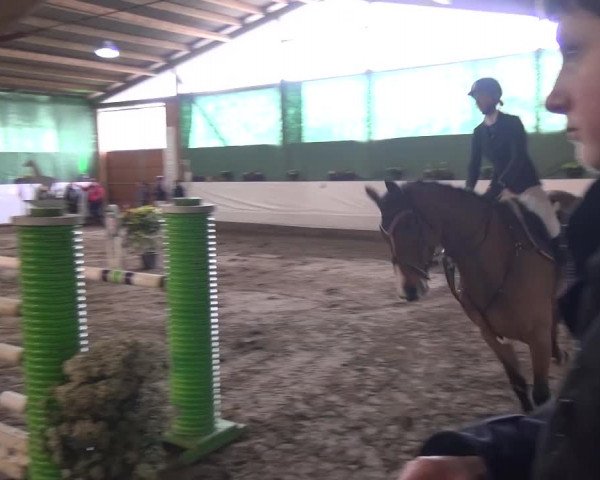Reitturnier Lindlar-Süttenbach 2016